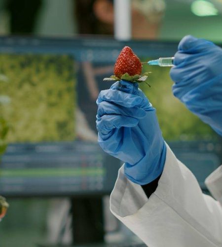 closeup-chemist-scientist-injecting-nature-strawberry-with-chemical-pesticides-550x600