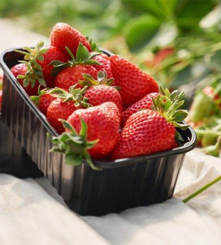 fresh-ripe-strawberries-inside-black-plastic-box_7502-7746-550x600